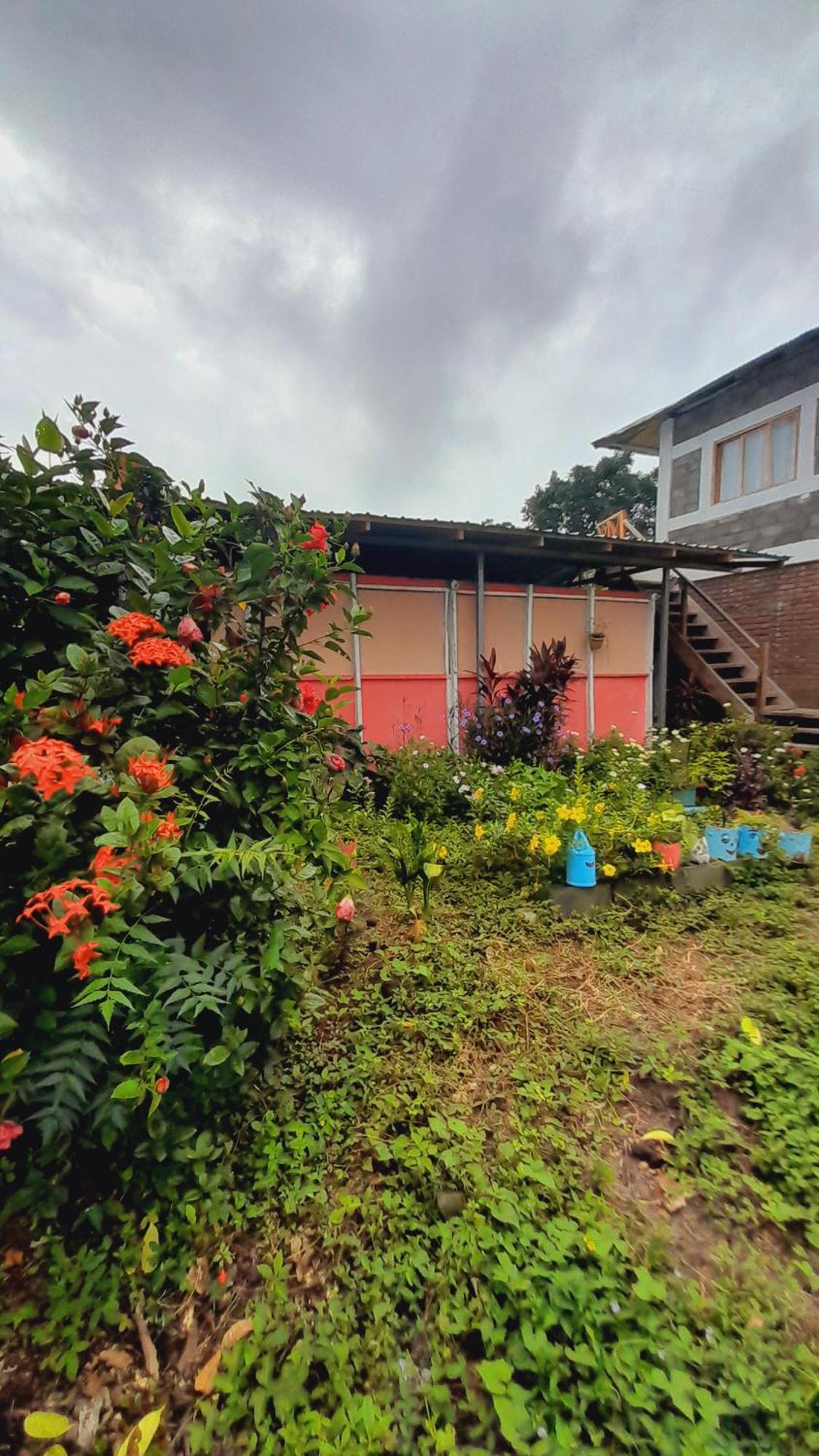 Hospedaje Bananas Altagracia Exterior photo